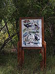 Click to see YIMGP2741.JPG