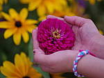 Click to see YIMGP2789.JPG