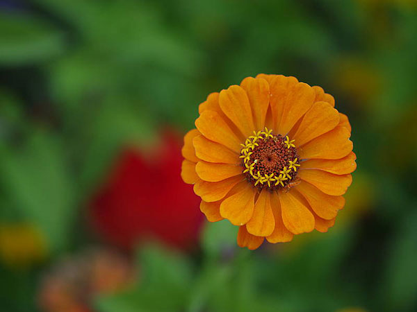 Pentax 645Z review -- Sample photo