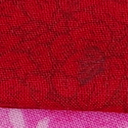100% crop from Pentax 645Z test image taken at ISO 100
