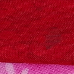 100% crop from Pentax 645Z test image taken at ISO 1600