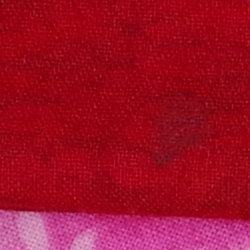 100% crop from Pentax 645Z test image taken at ISO 3200