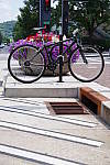 Click to see YIMGP4617.JPG