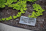 Click to see YIMGP4630.JPG