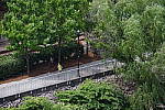 Click to see YIMGP4803.JPG