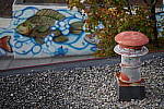 Click to see YIMGP5759.JPG