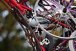 Click to see YIMGP5777.JPG