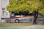 Click to see YIMGP5843.JPG