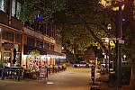 Click to see YIMGP5973.JPG