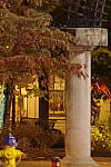 Click to see YIMGP5974-isocomparison-k1ii-iso3200.jpg
