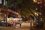 Click to see YIMGP5974.JPG