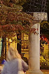 Click to see YIMGP5976-isocomparison-k1ii-iso800.jpg