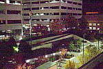 Click to see YIMGP5992.JPG