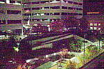 Click to see YIMGP5993.JPG