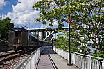 Click to see YIMGP6075.JPG