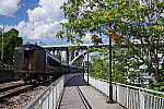 Click to see YIMGP6076.JPG