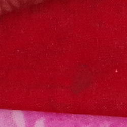 100% crop from Pentax K-1 II test image taken at ISO 1600