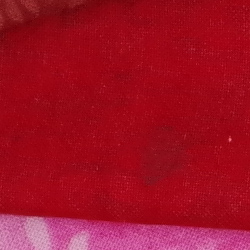 100% crop from Pentax K-1 II test image taken at ISO 1600
