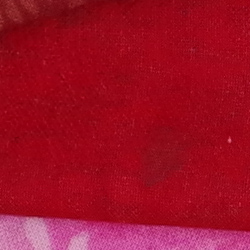 100% crop from Pentax K-1 II test image taken at ISO 1600