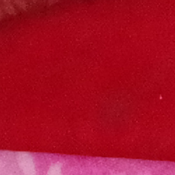 100% crop from Pentax K-1 II test image taken at ISO 6400