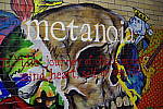Click to see YIMGP1152.JPG