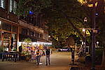Click to see YIMGP2609.JPG