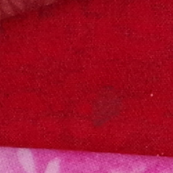 100% crop from Pentax K-1 test image taken at ISO 1600