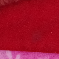 100% crop from Pentax K-1 test image taken at ISO 3200