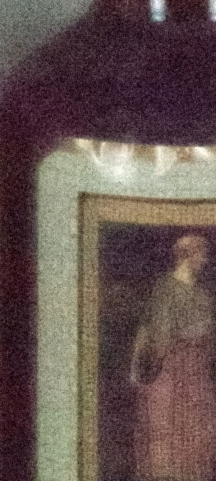 Pentax K-1 - 100% crop with Pixel Shift Resolution