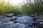 Click to see YIMGP0757.JPG
