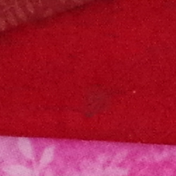 100% crop from Pentax K-3 II test image taken at ISO 1600