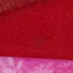 100% crop from Pentax K-3 II test image taken at ISO 3200