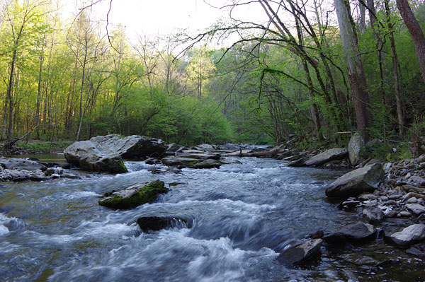 Pentax K-3 II review -- Sample photo