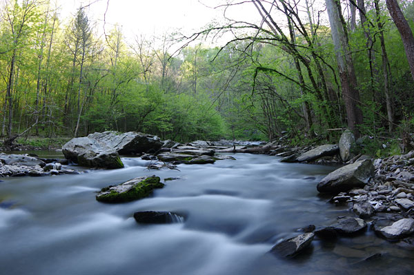 Pentax K-3 II review -- Sample photo