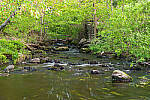 Click to see Y-JG-PENTAX-K3-III-0106-MOD.JPG