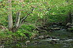 Click to see Y-JG-PENTAX-K3-III-0111.JPG