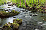 Click to see Y-JG-PENTAX-K3-III-0124-MOD.JPG