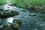 Click to see Y-JG-PENTAX-K3-III-0124.JPG