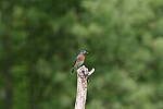 Click to see Y-JG-PENTAX-K3-III-0542.JPG