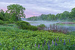 Click to see Y-JG-PENTAX-K3-III-0577-MOD.JPG