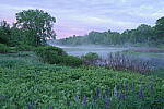 Click to see Y-JG-PENTAX-K3-III-0577.JPG