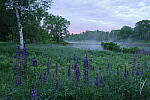Click to see Y-JG-PENTAX-K3-III-0582.JPG