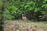 Click to see Y-JG-PENTAX-K3-III-0670.JPG