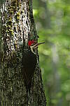 Click to see Y-JG-PENTAX-K3-III-0814.JPG