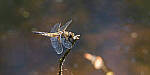 Click to see Y-JG-PENTAX-K3-III-0822-MOD.JPG