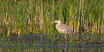 Click to see Y-JG-PENTAX-K3-III-0942-MOD.JPG