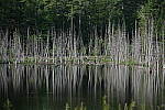 Click to see Y-JG-PENTAX-K3-III-0984.JPG