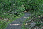 Click to see Y-JG-PENTAX-K3-III-1171-ISO-100.JPG