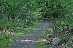 Click to see Y-JG-PENTAX-K3-III-1173-ISO-3200.JPG