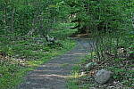 Click to see Y-JG-PENTAX-K3-III-1175-ISO-12800.JPG